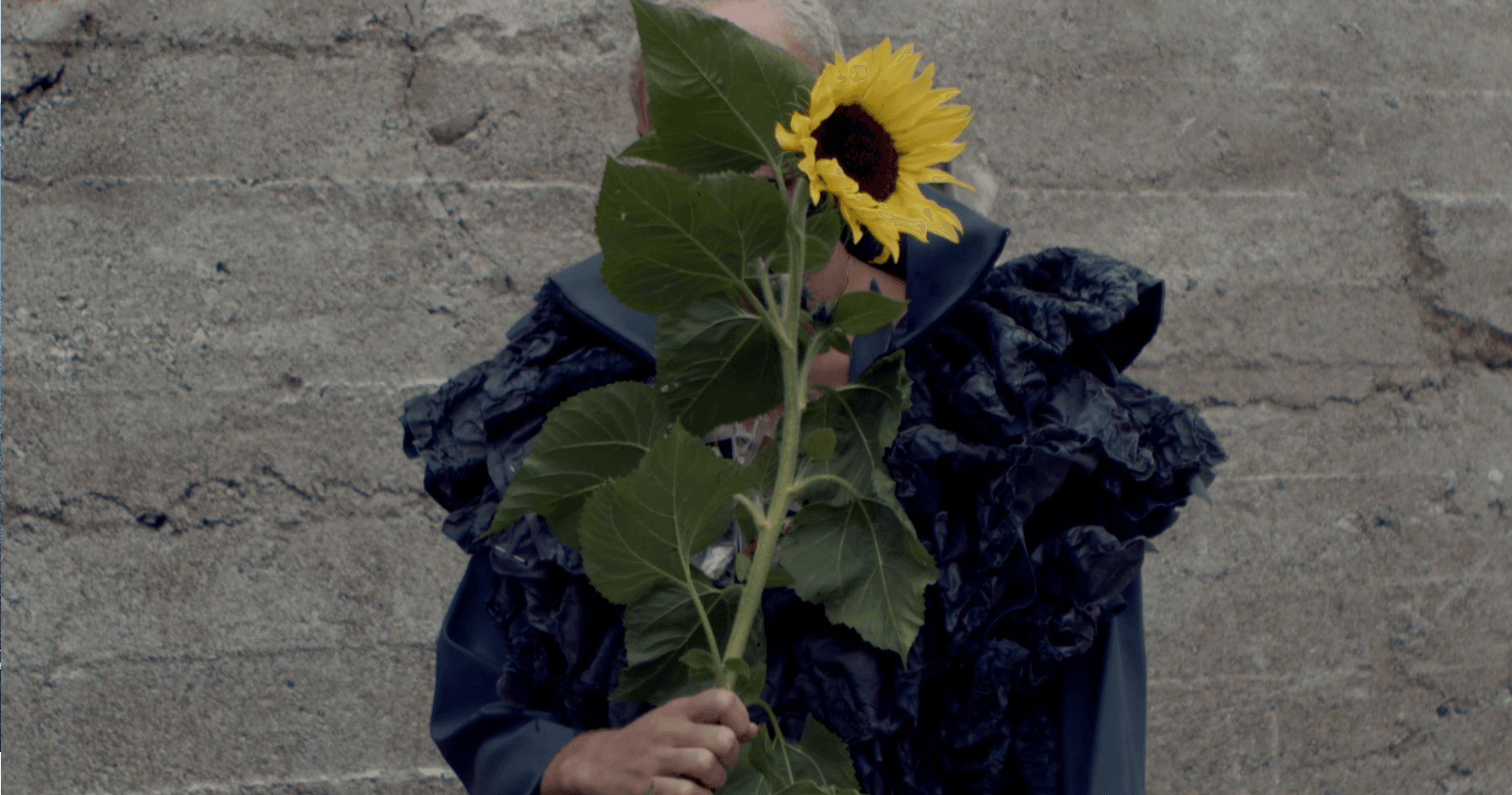 Fashion — video 7